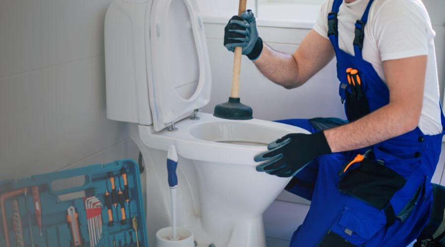 Local sewer line repair in Cascadia, OR